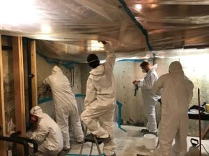 Mold Removal Crew Working On Site